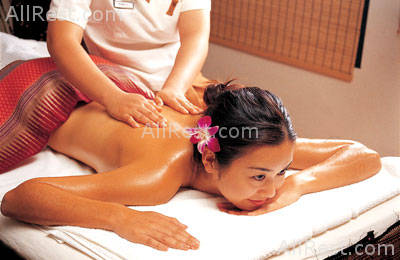 Royal Paradise Hotel 14